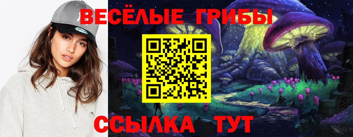 Галлюциногенные грибы Psilocybine cubensis Топки