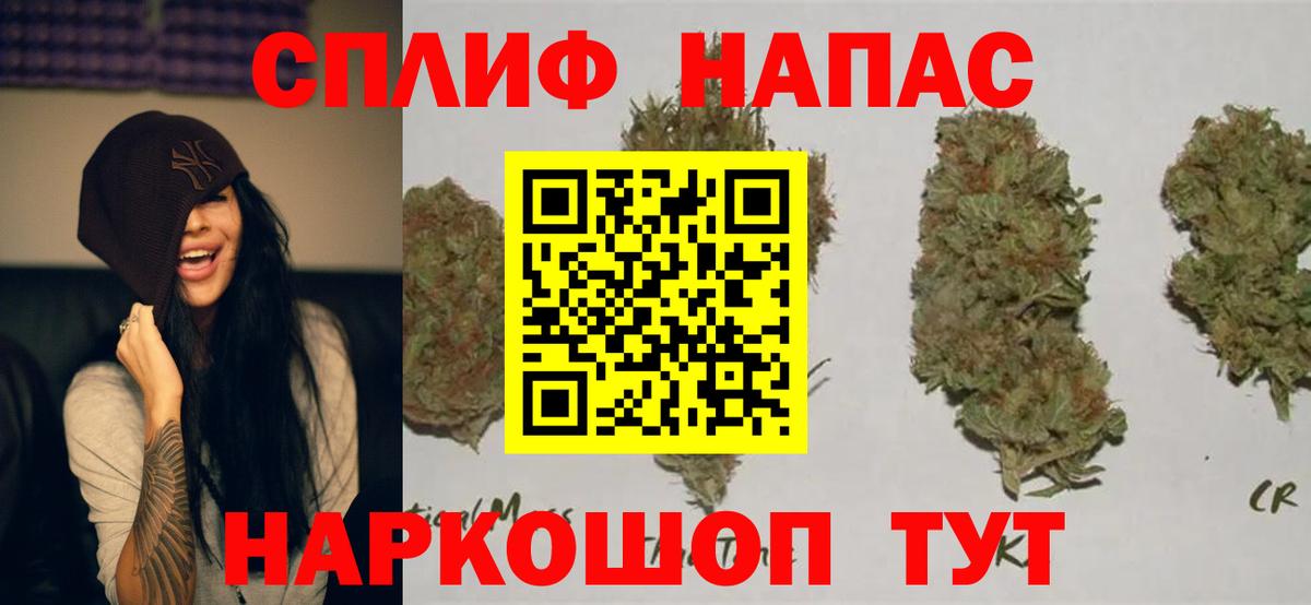 Канабис конопля  Канабис сатива  Топки  Вход с VPN  Бошки марихуана ГИДРОПОН 